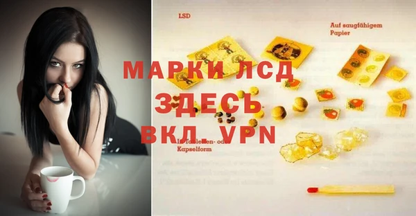 Альфа ПВП Аркадак