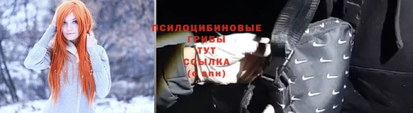 дживик Армянск