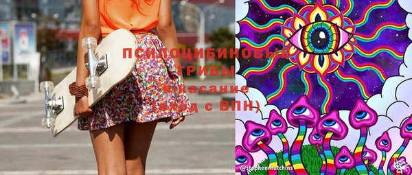 Альфа ПВП Аркадак