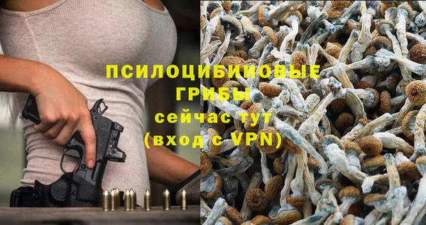 дживик Армянск