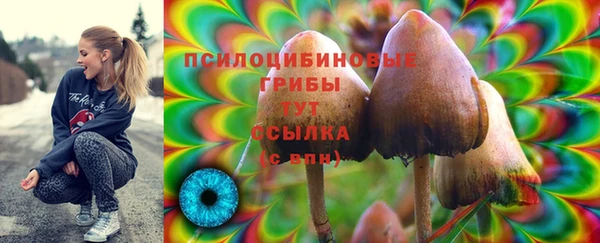 не бодяженный Арсеньев