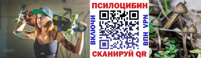 Купить где  Апшеронск  Галлюциногенные грибы прущие грибы 